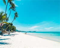 如何降低网站建设制作的成本